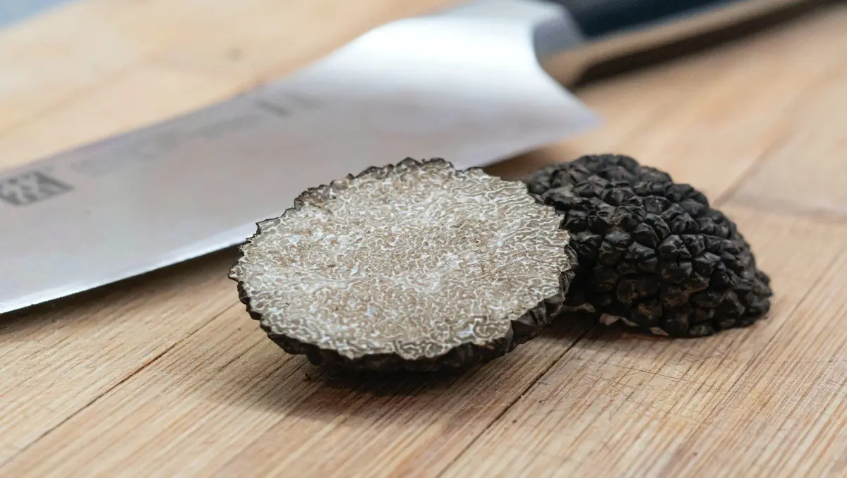 Truffles are fungi, or mushrooms, or both