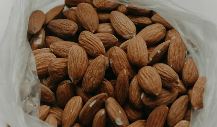 high-fiber Keto foods to eat on a Keto diet