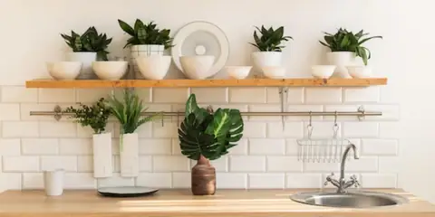 Why Feng Shui Experts Recommend Placing Plants Over Kitchen Cabinets